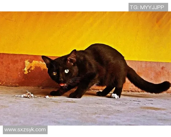 瓦因奎乌尔的神秘传说与历史探秘之旅